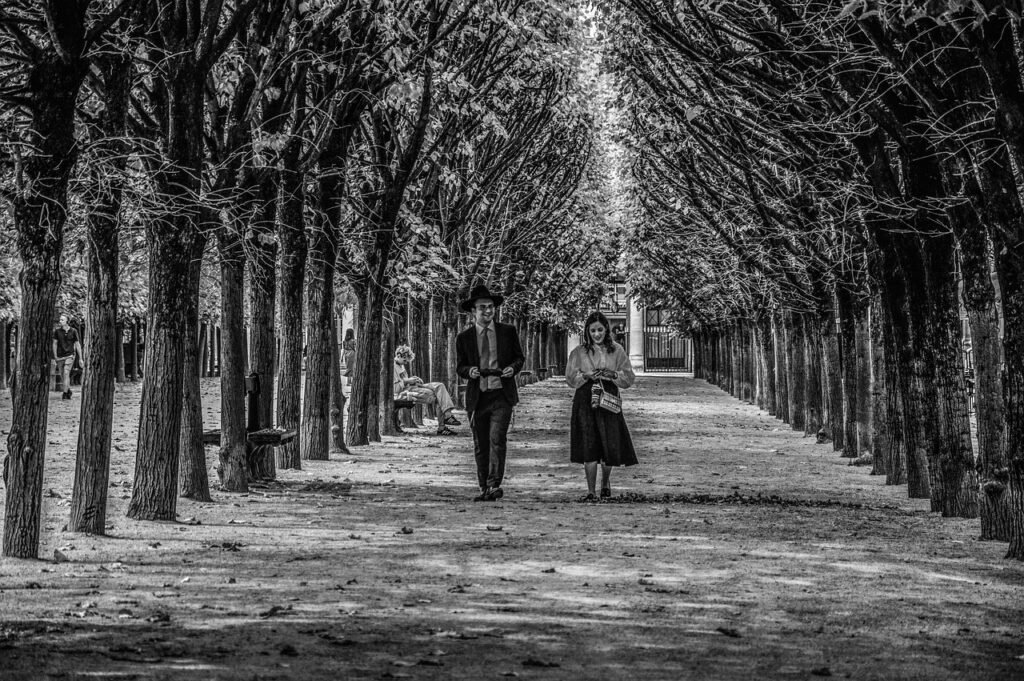 flight-to-paris-jsut-buy-travel