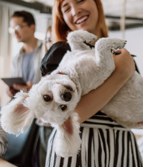 book pet friendly hotel