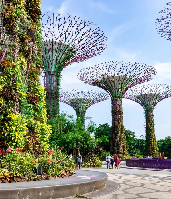 delhi to singapore flight