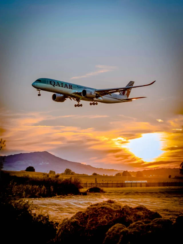 pexels-reto-burkler-640438-1443894