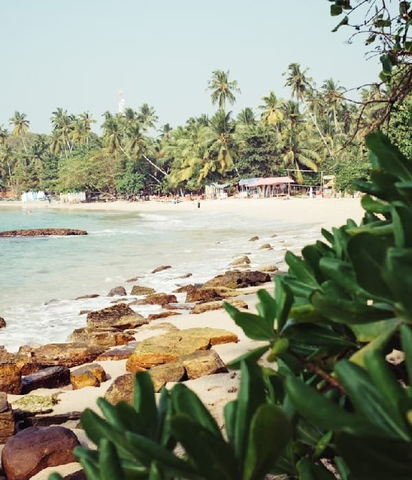 Justbuytravel|Book Hotels in Goa