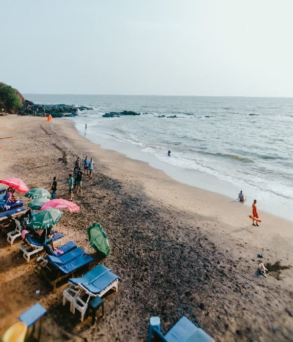 Justbuytravel|Book Hotels in Goa