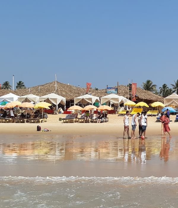Justbuytravel|Book Hotels in Goa