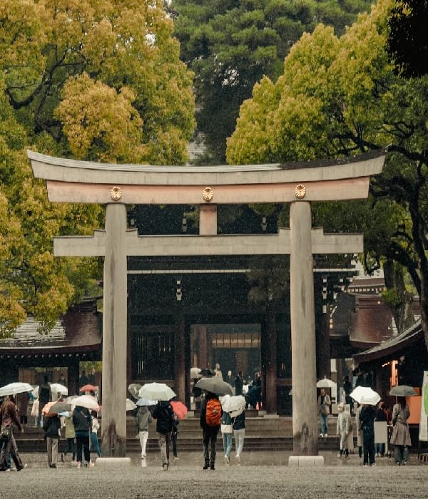 Justbuytravel|Book Hotels in Tokyo