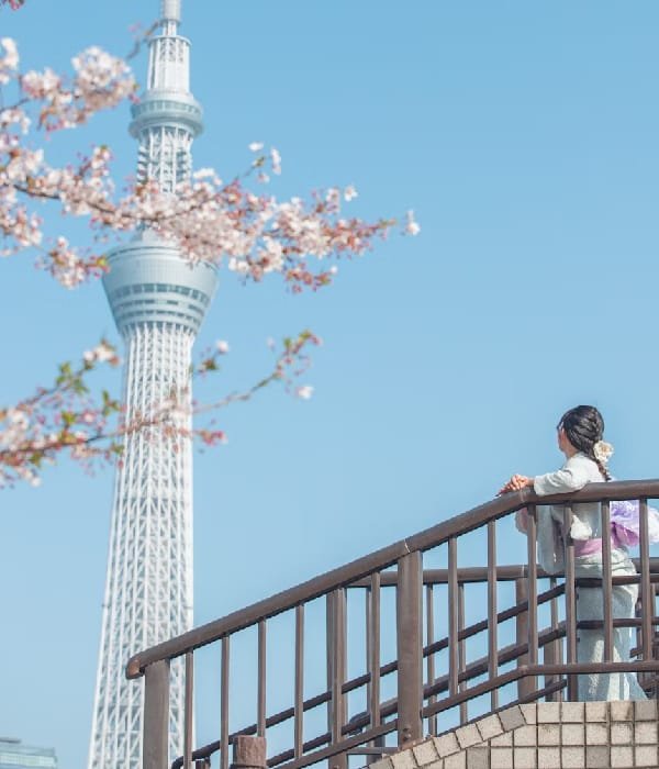 Justbuytravel|Book Hotels in Tokyo