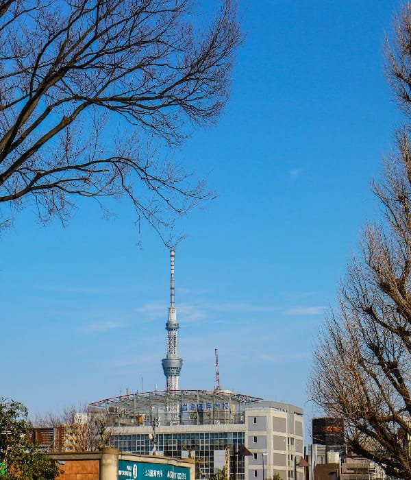 Justbuytravel|Book Hotels in Tokyo