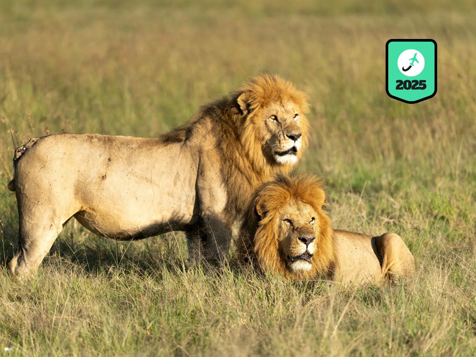 Africa Travel Itinerary A 2-Week Safari and Culture Experience