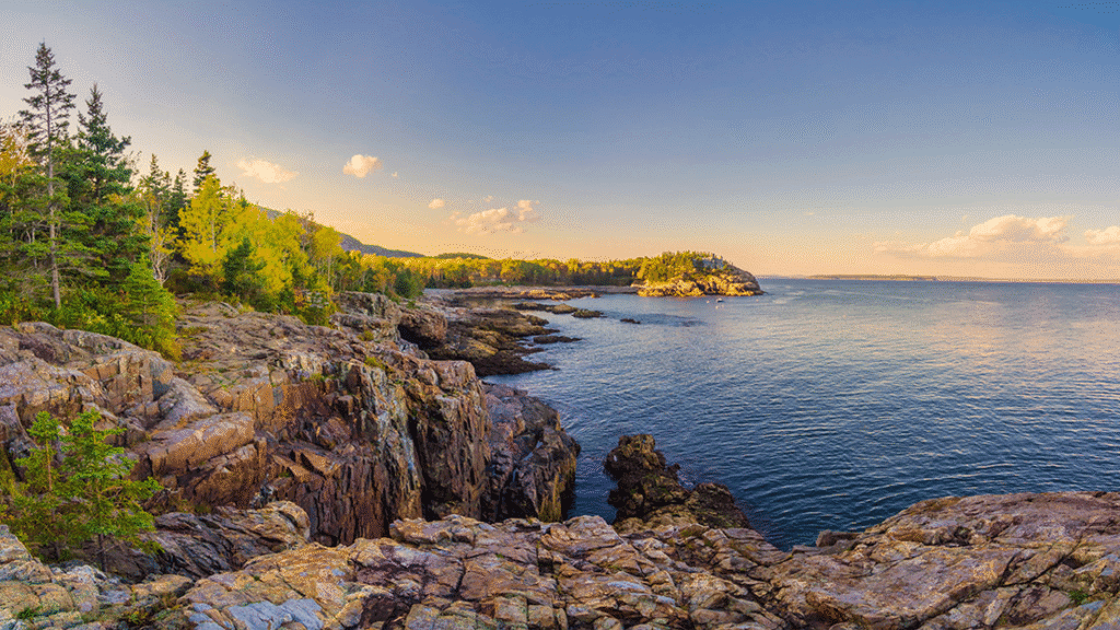 booking flights and hotels online