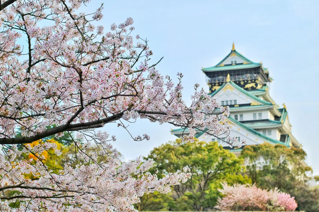 Japan cherry blossoms and temples, best places to visit in Asia