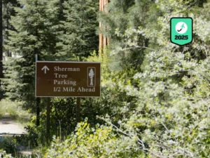 8 Most Beautiful Places to Visit in California Beyond Los Angeles and San Francisco