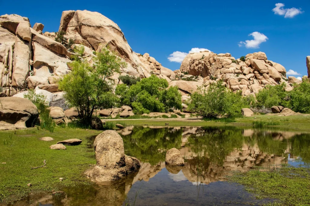 Joshua Tree desert landscape with rocky trails, unique place to visit in California