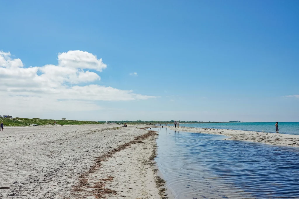 Miami Beach shoreline on a sunny day with clear water