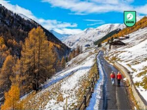 sustainable travel tips